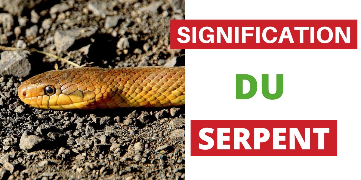 Signification du Serpent