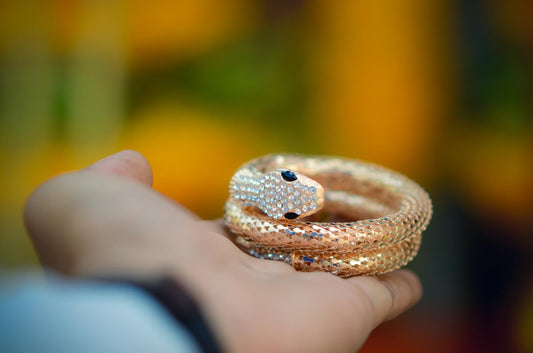 Comment porter un bracelet serpent