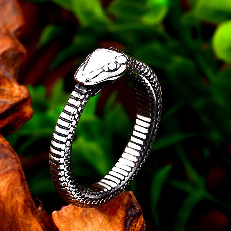 Bague Serpent Ouroboros Homme