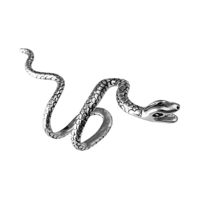 Boucles d'Oreilles Serpent à Clip argent
