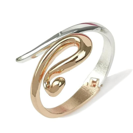 Bracelet Serpent Acier Forme Original