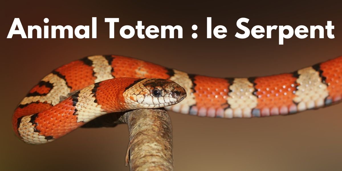 Animal Totem : le Serpent