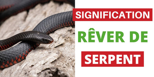 Que signifie Rêver de Serpent 