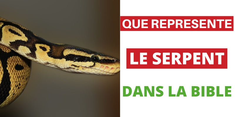 Que représente le Serpent dans la Bible ? | Serpent Shop