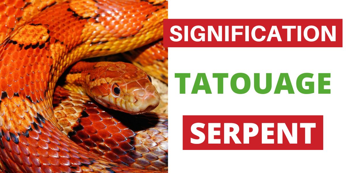 Quelles sont les Significations d’un Tatouage de Serpent ? - Serpent Shop