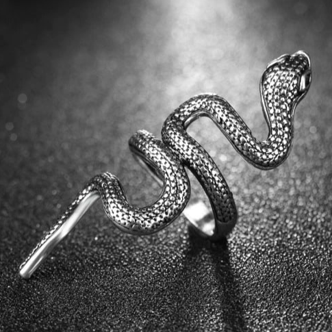 Bague Serpent Long Acier homme