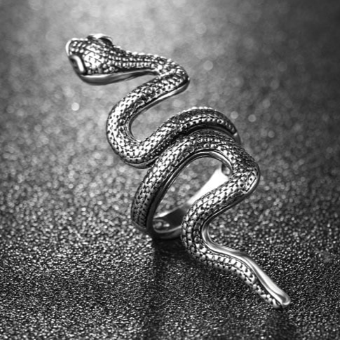Bague Serpent Long Acier 