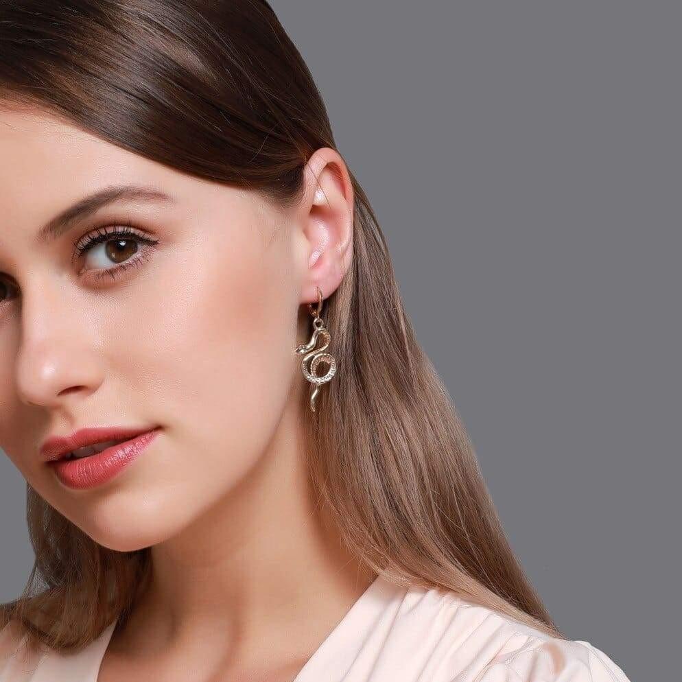 Boucles d'Oreilles Serpent Argent Enroulé