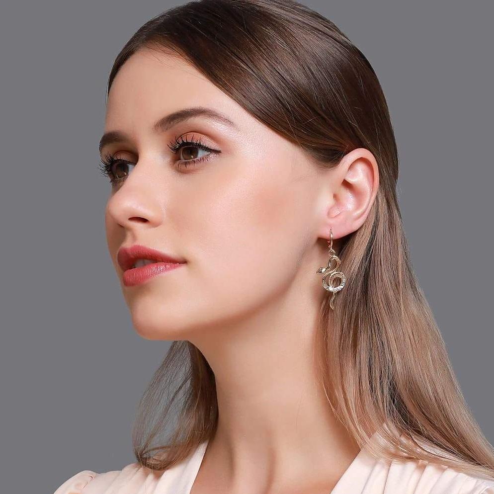 Boucles d'Oreilles Serpent Argent Enroulé